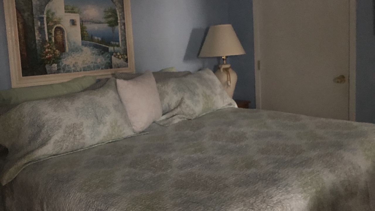 Photo of Bedroom in Bayonet Point