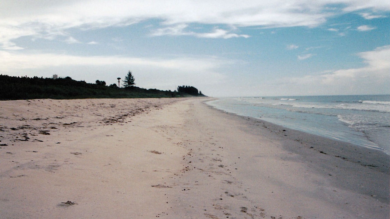 Photo of Others in South Beach