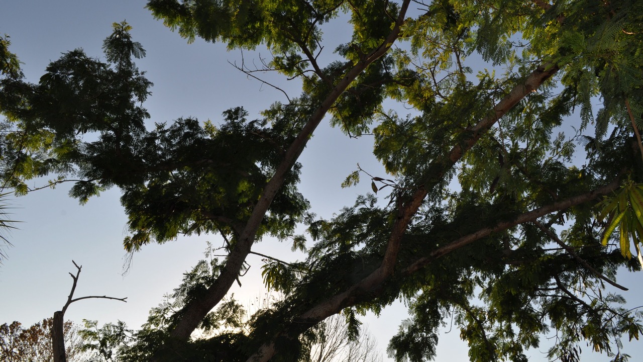 Photo of Outdoor in Hudson