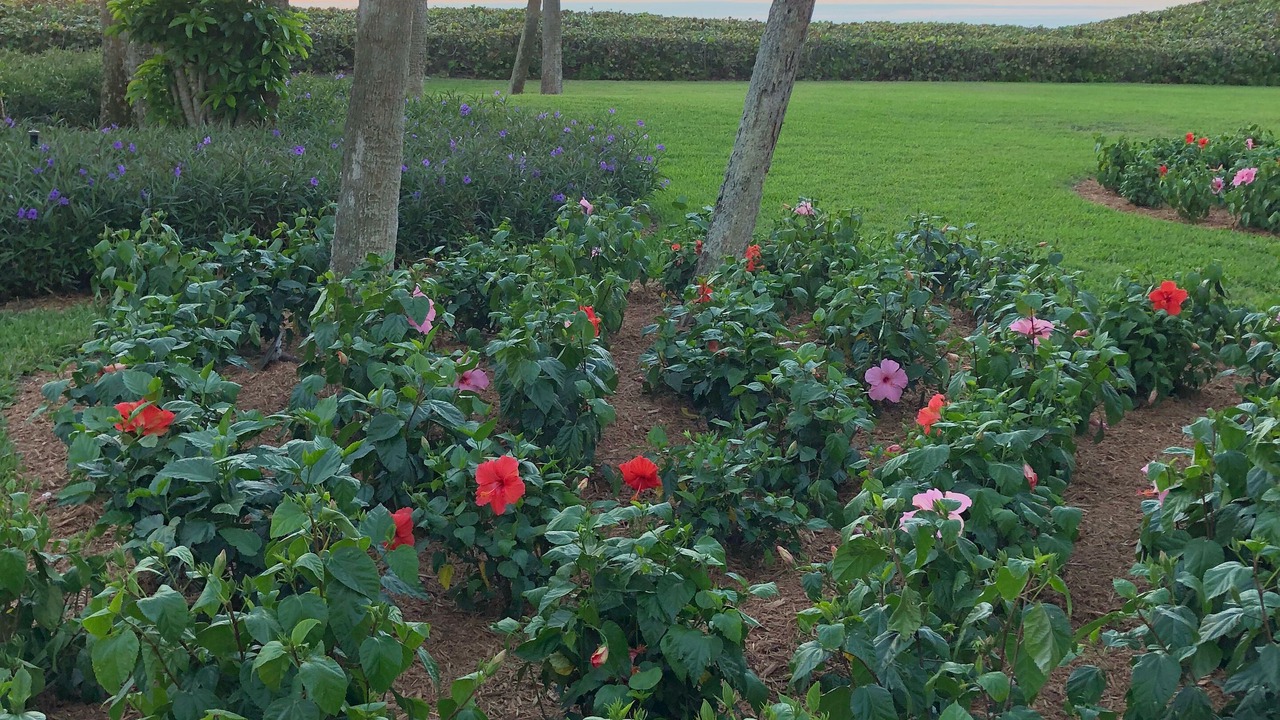 Photo of Others in Naples Park