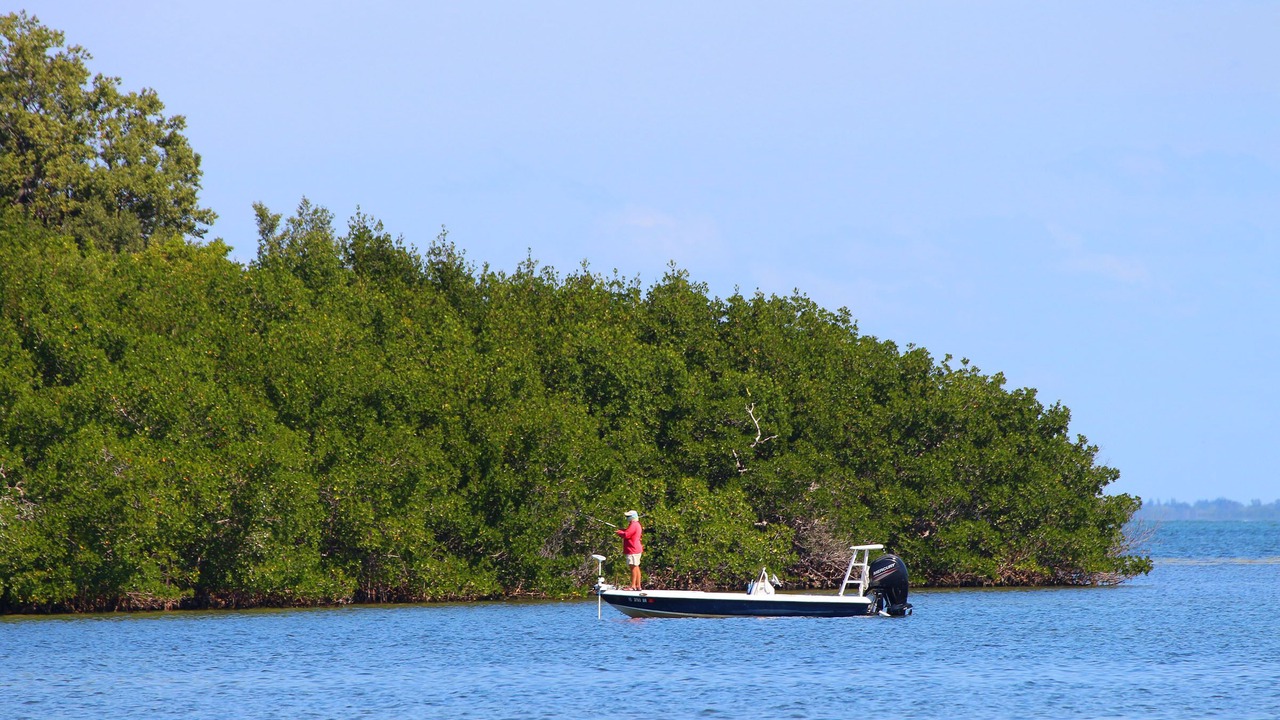 Photo of Others in Captiva