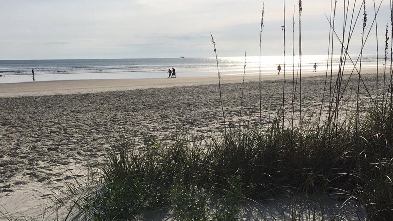 Photo of Others in Daytona Beach Shores