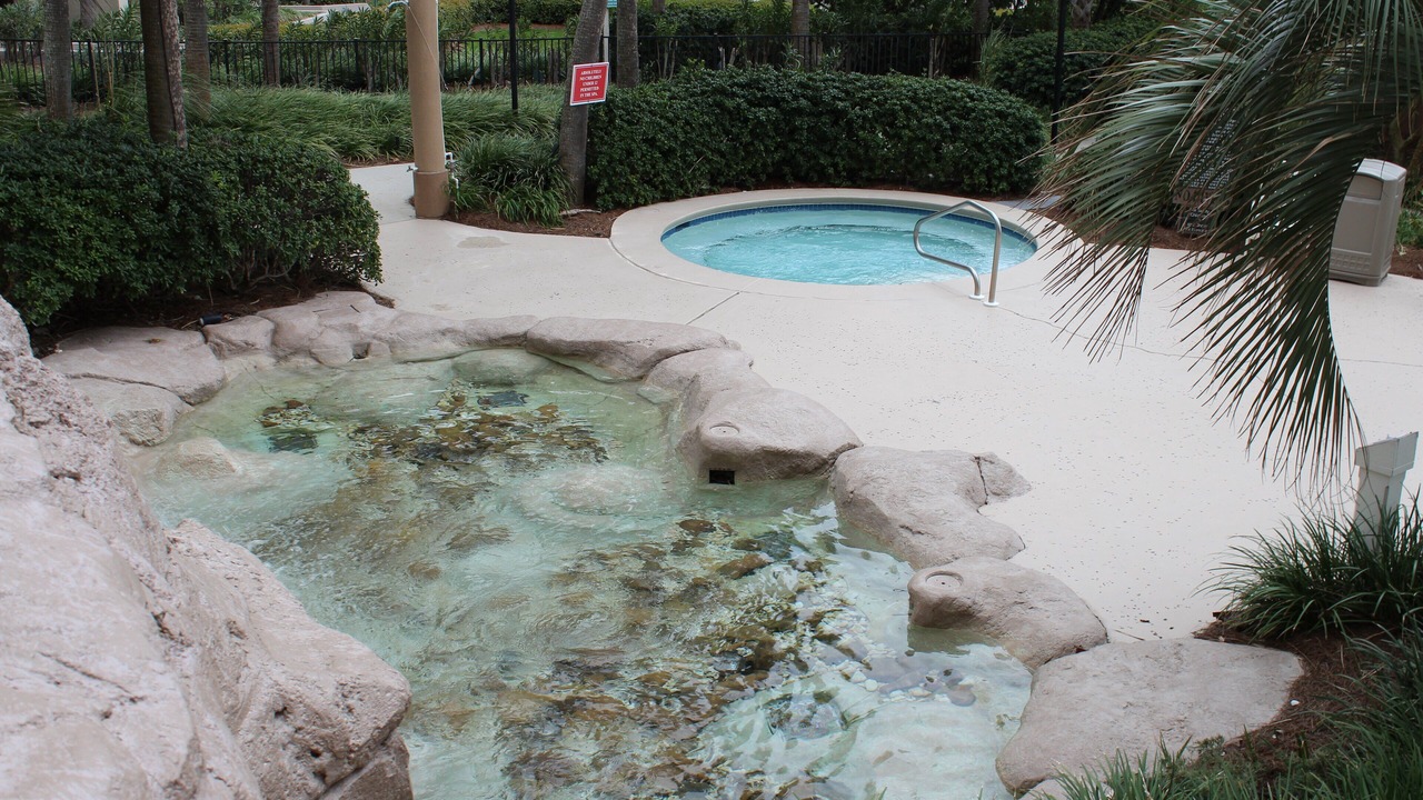 Photo of Others in Gulf Pines