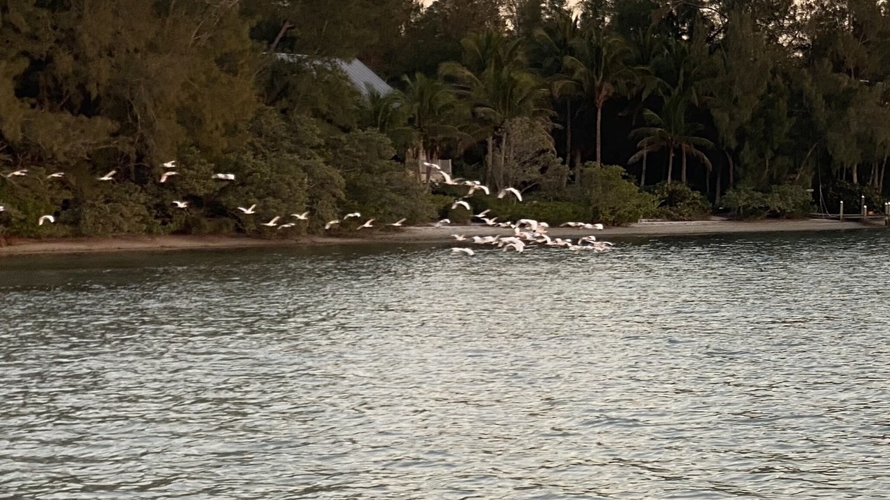 Photo of Others in Longbeach Village