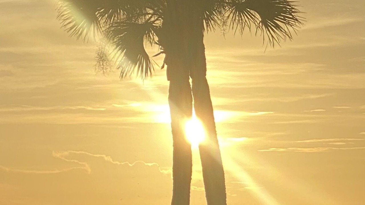 Photo of Others in Longbeach Village