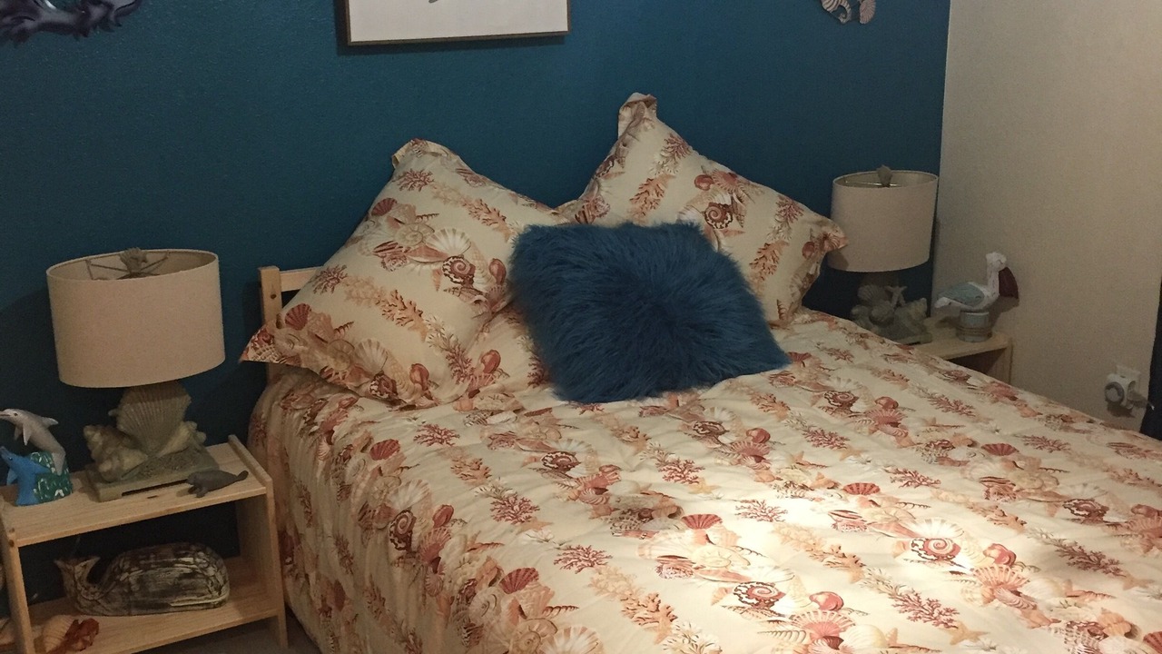 Photo of Bedroom in North Port