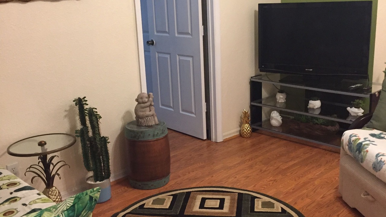 Photo of Livingroom in North Port