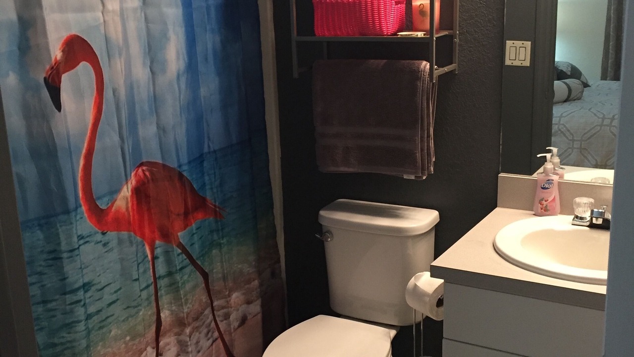 Photo of Bathroom in North Port
