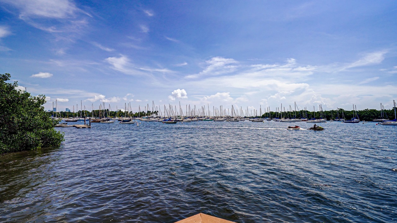 Photo of Others in Coconut Grove