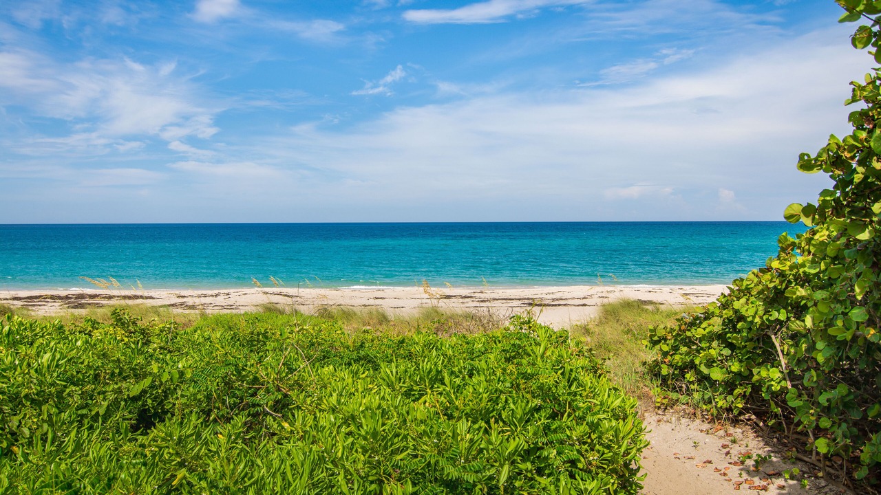 Photo of Others in Juno Beach