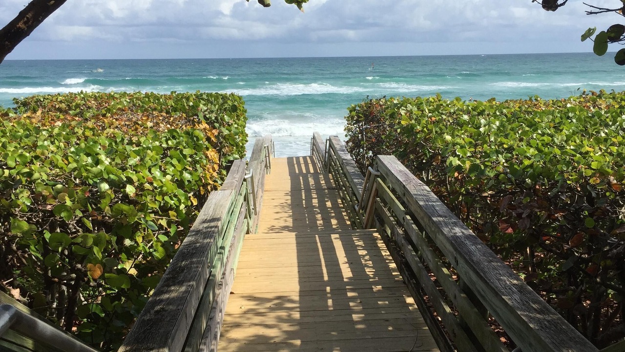 Photo of Others in Juno Beach