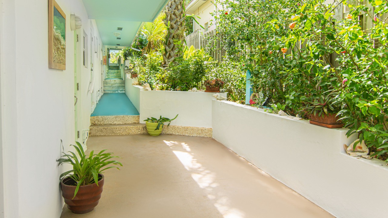Photo of Outdoor in Juno Beach