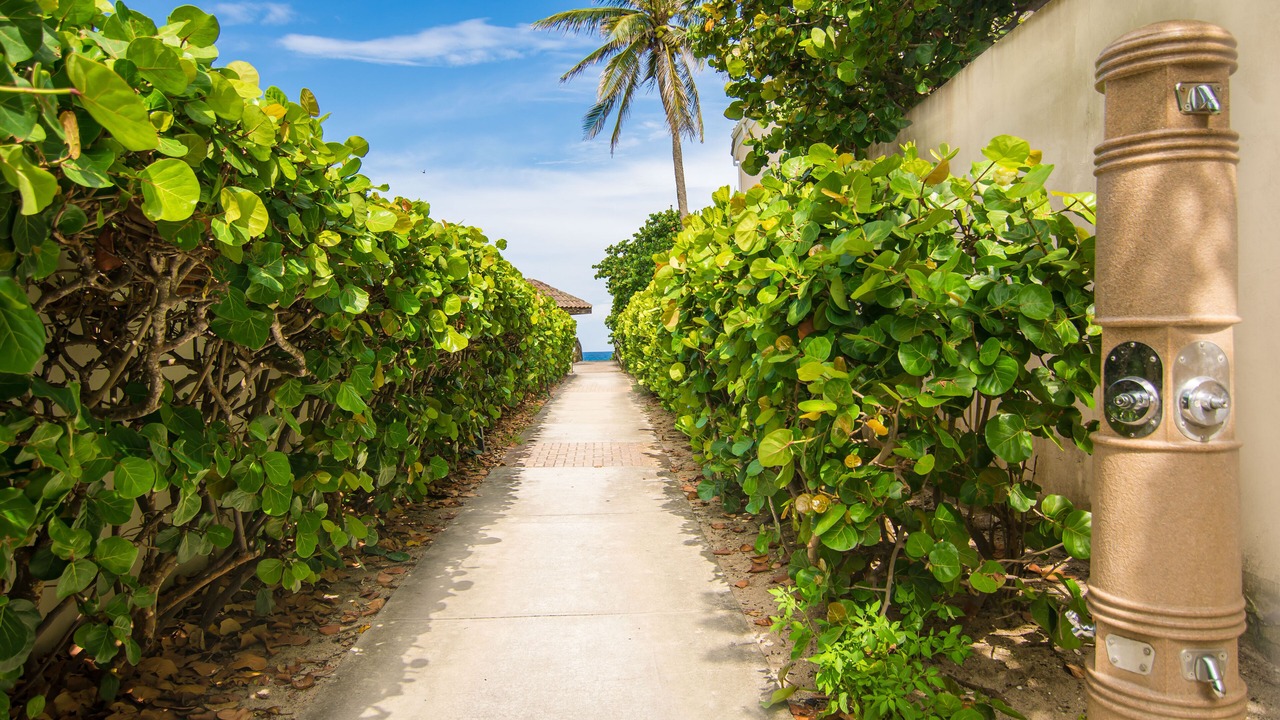 Photo of Outdoor in Juno Beach