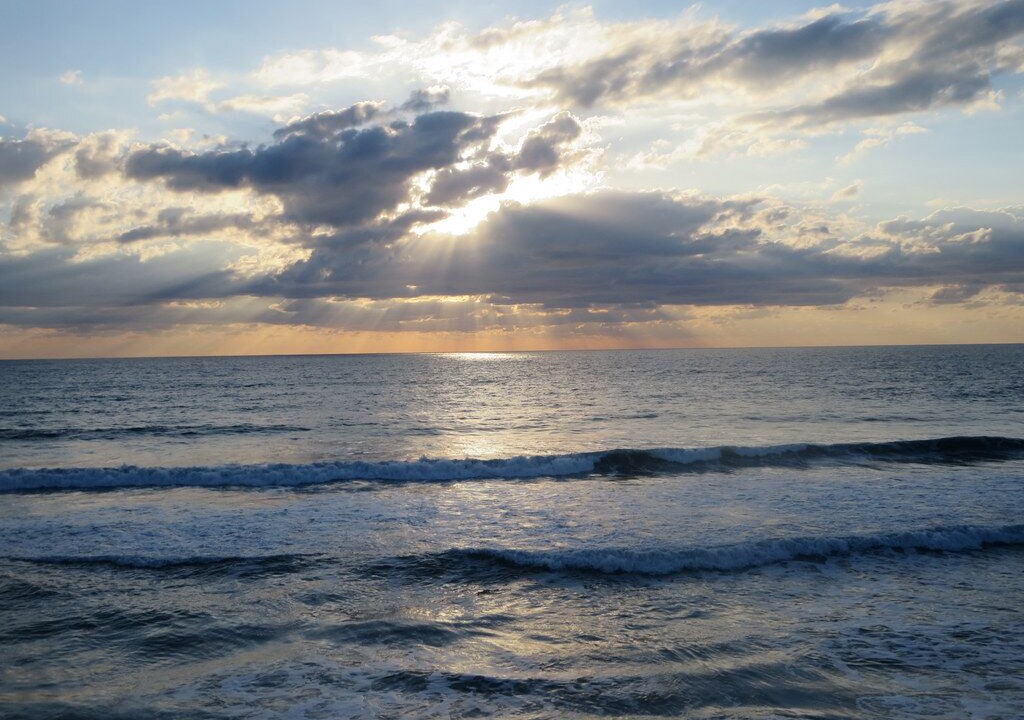 Photo of Others in Satellite Beach