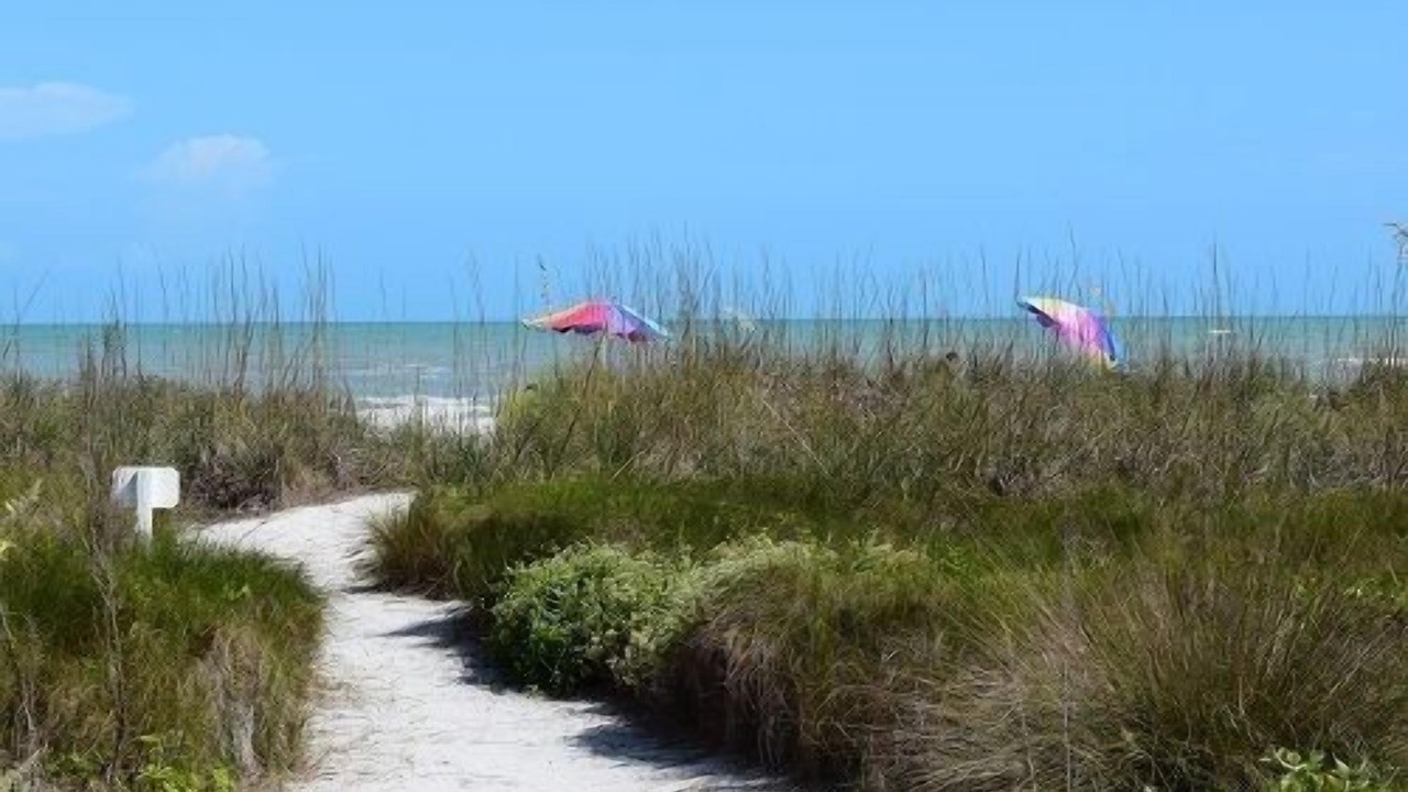 Photo of Others in Sanibel