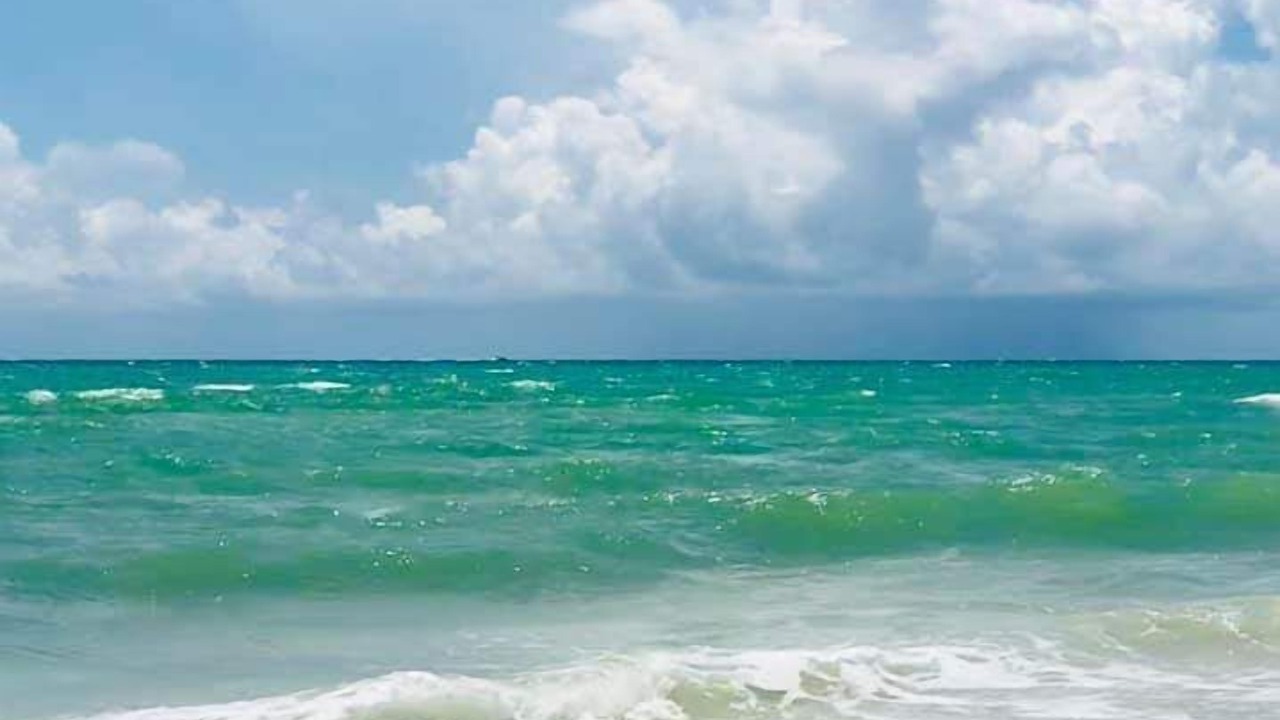 Photo of Others in Sanibel