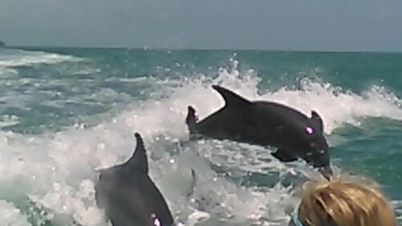 Photo of Others in Sanibel