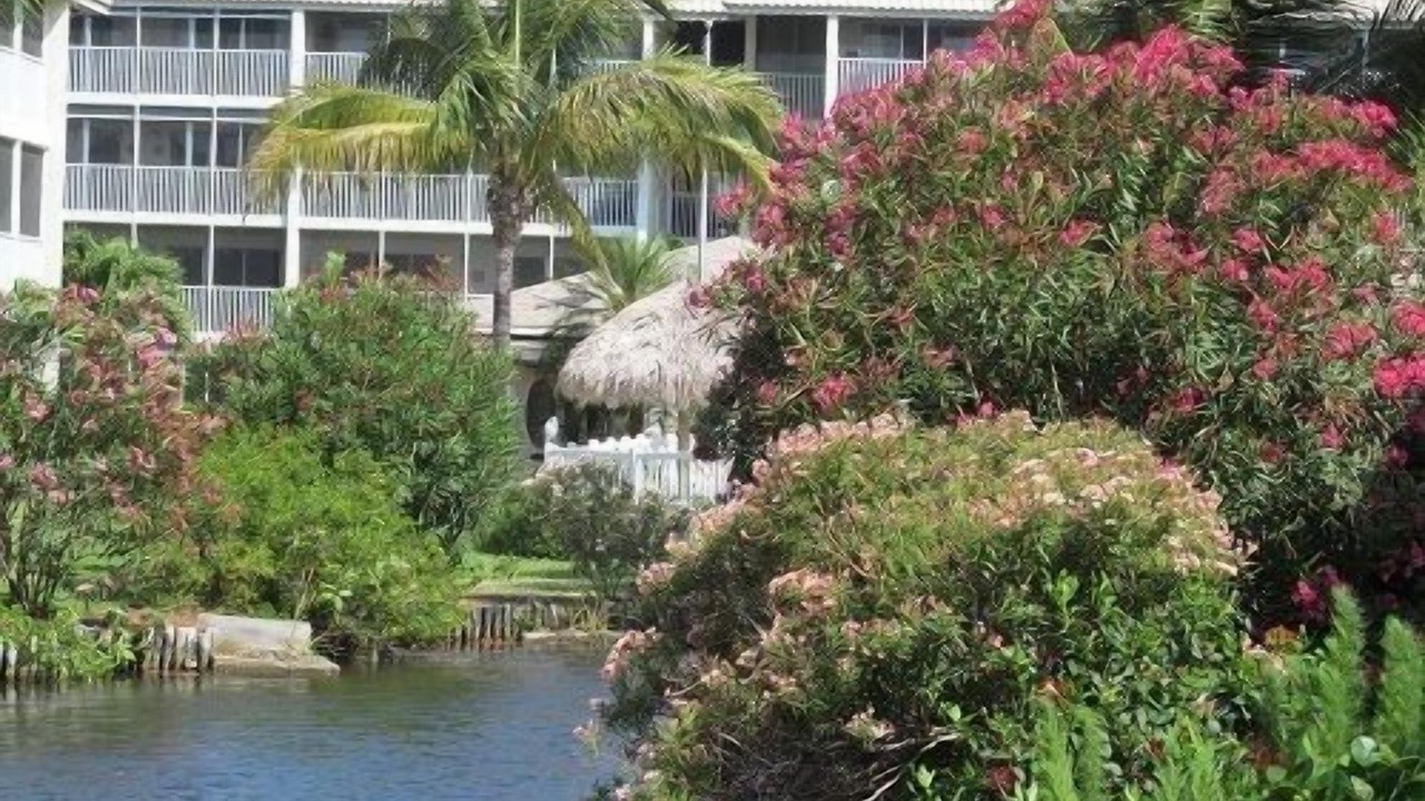 Photo of Others in Sanibel