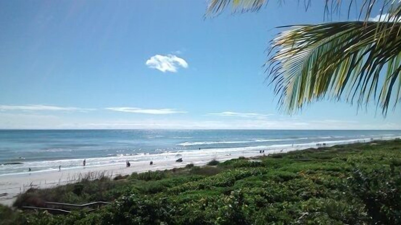 Photo of Others in Sanibel