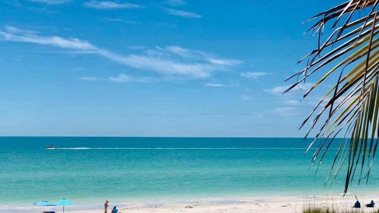 Photo of Others in Sanibel