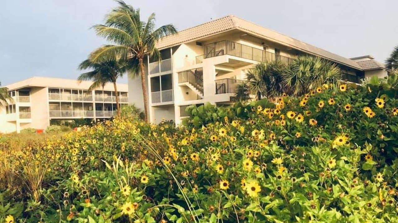 Photo of Others in Sanibel