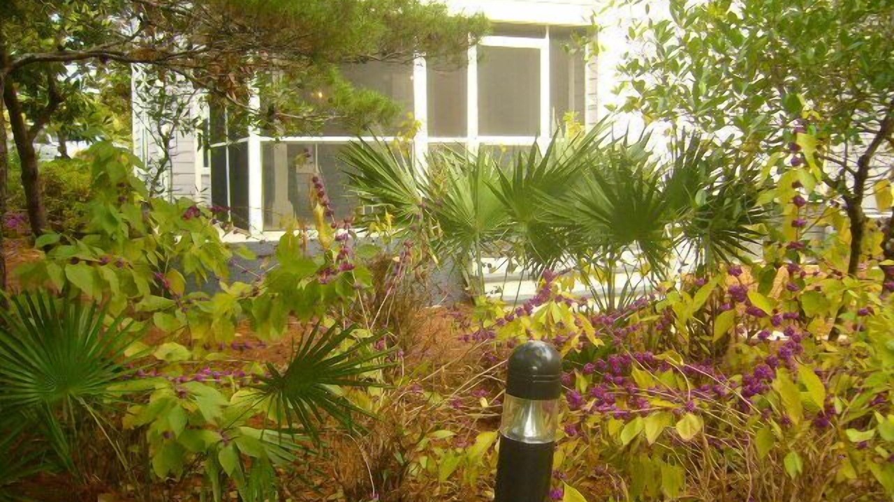 Photo of Outdoor in Gulf Pines