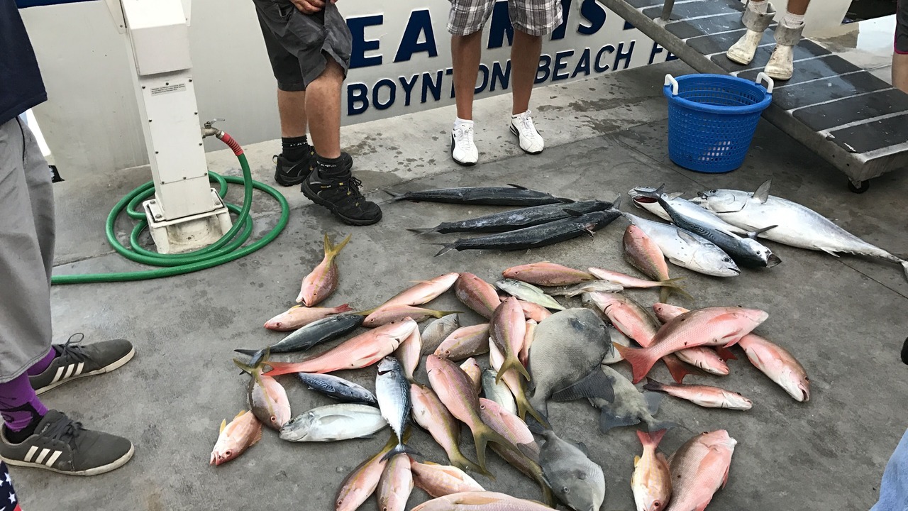 Photo of Others in Boynton Beach
