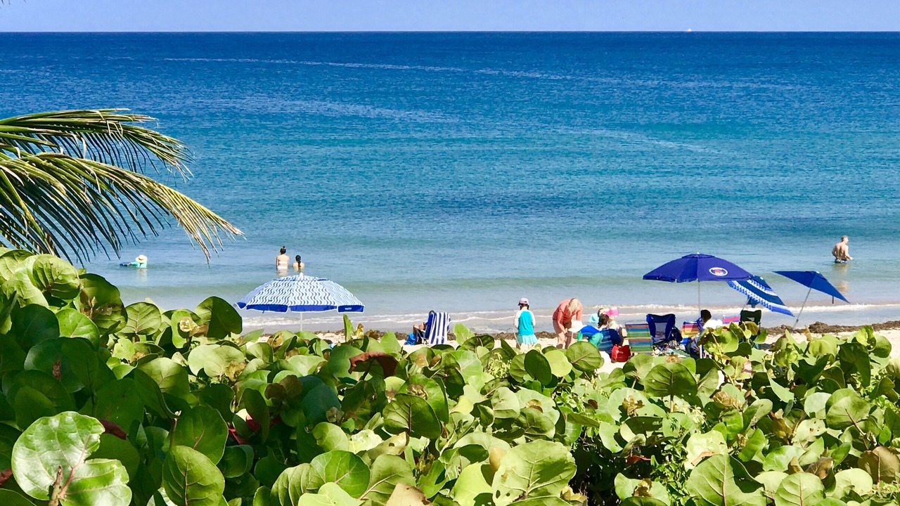 Photo of Others in Boynton Beach