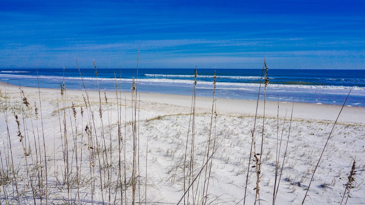 Photo of Others in Amelia City