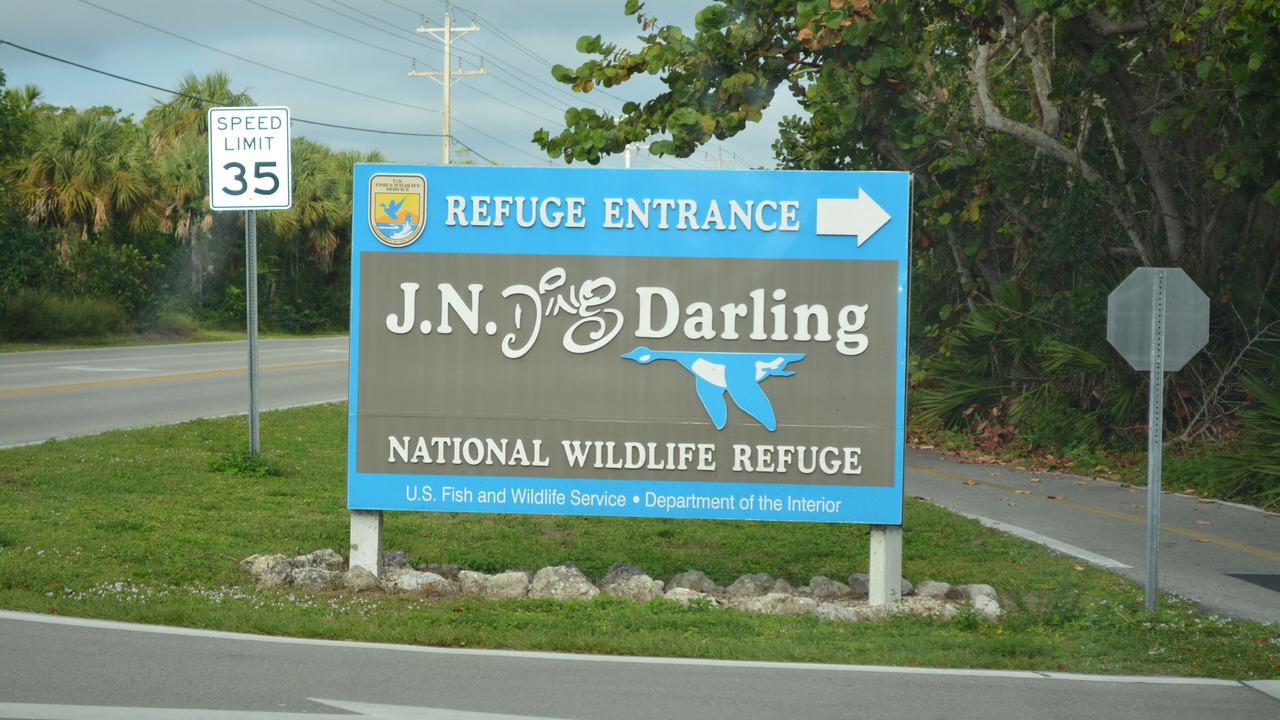 Photo of Others in Sanibel