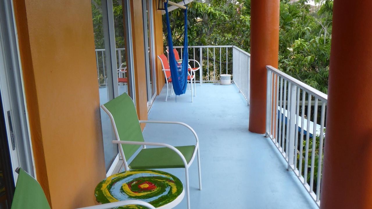Photo of Patio Balcony in South Palm Park Neighborhood Association
