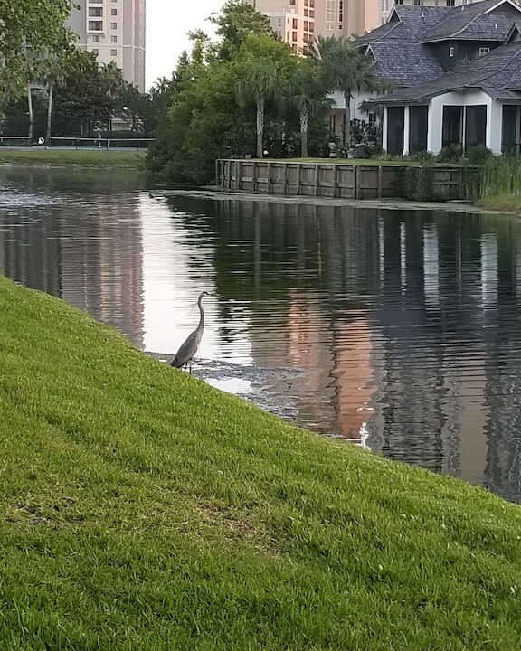 Photo of Buildings in Sandestin