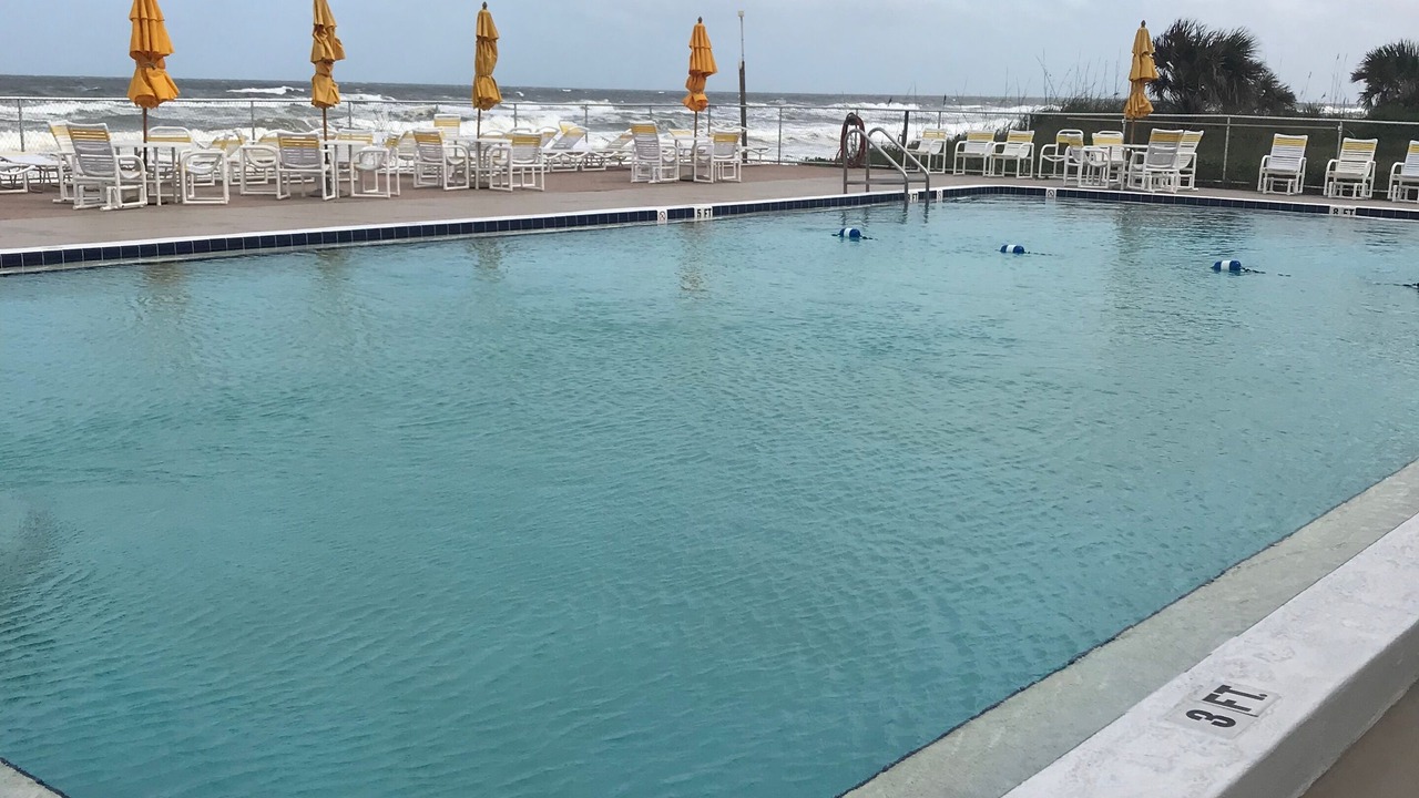 Photo of Outdoor in New Smyrna Beach