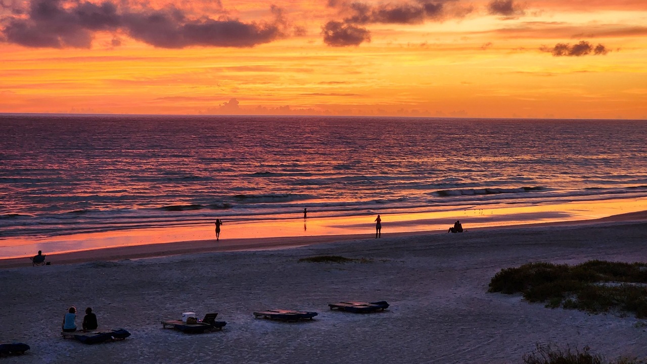 Photo of Others in Indian Shores