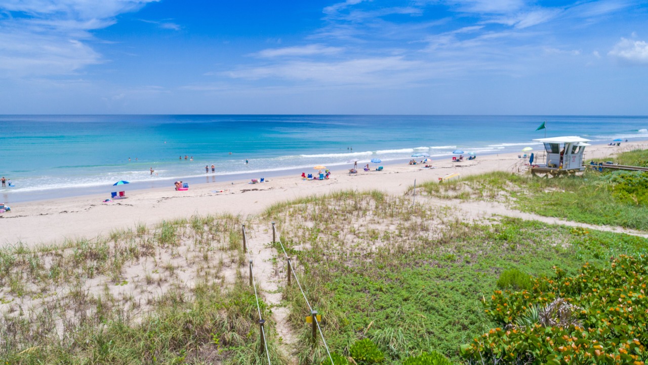 Photo of Others in Hutchinson Island South