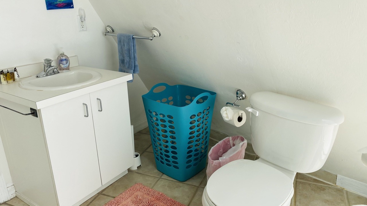 Photo of Bathroom in San Carlos Park