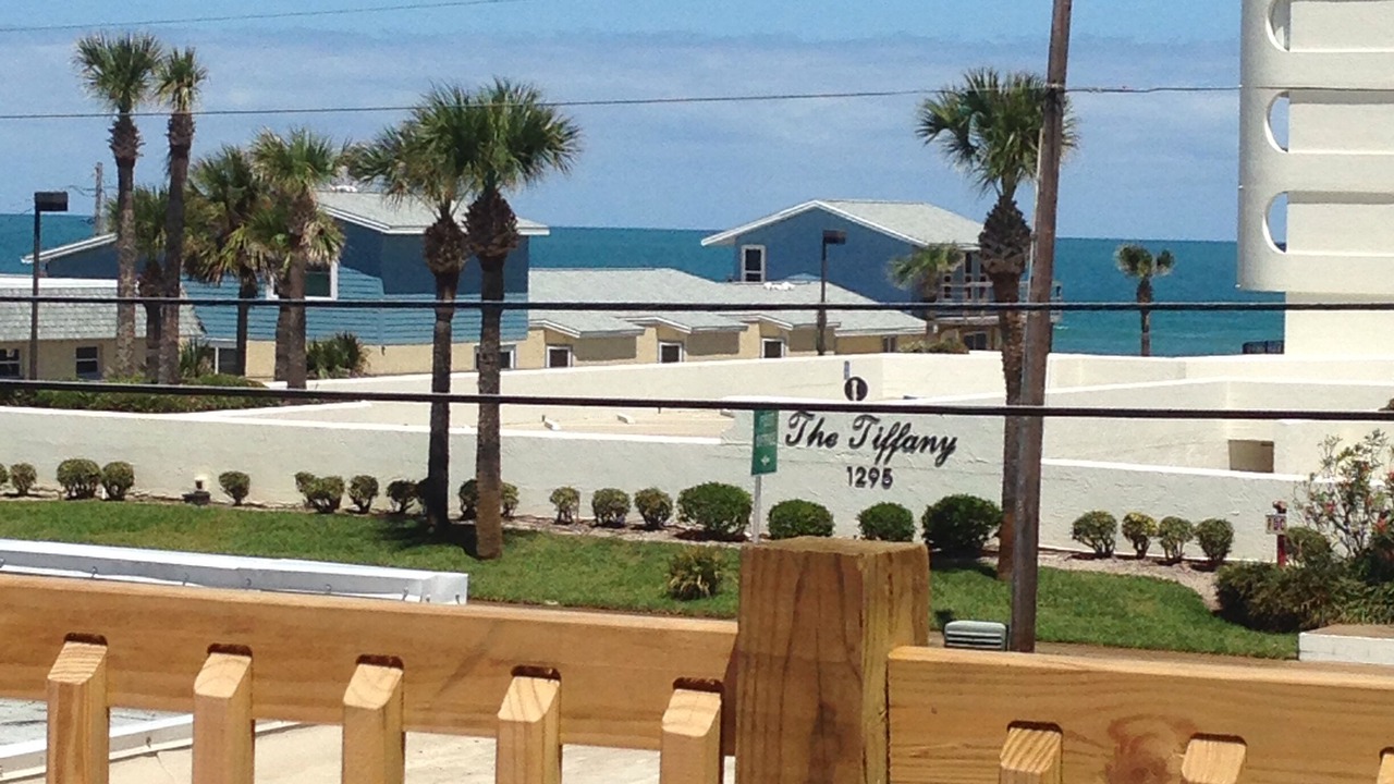 Photo of Others in Ormond-by-the-Sea
