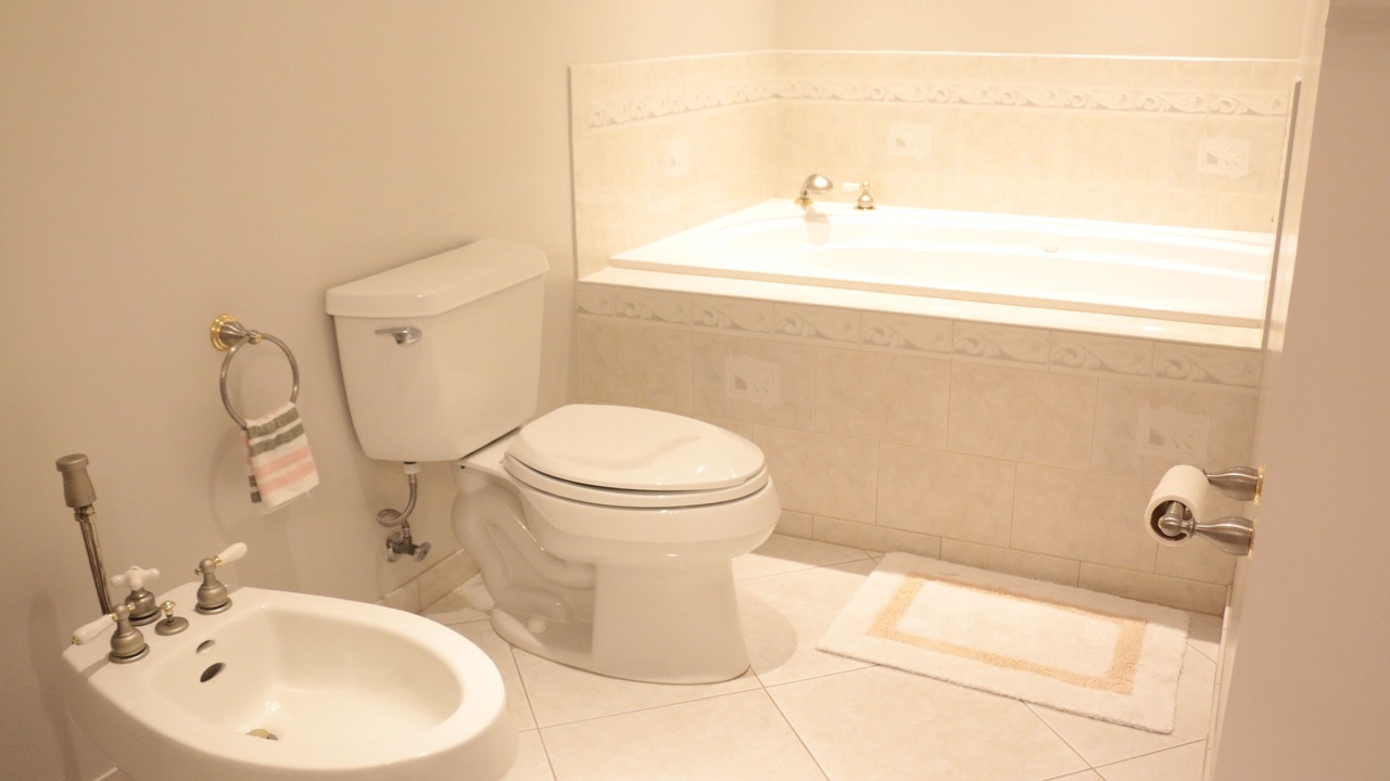 Photo of Bathroom in Tarpon Springs