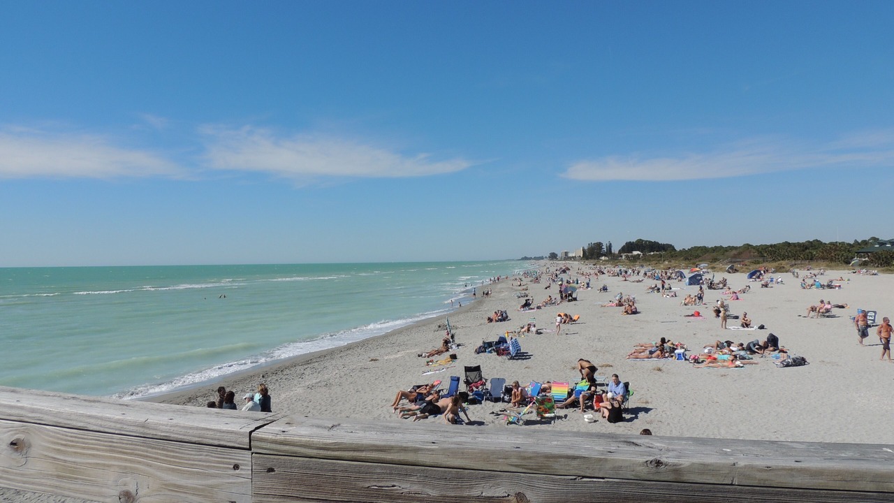 Photo of Others in South Venice