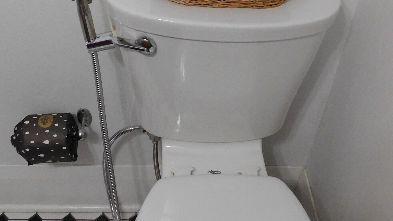 Photo of Bathroom in Old Seminole Heights