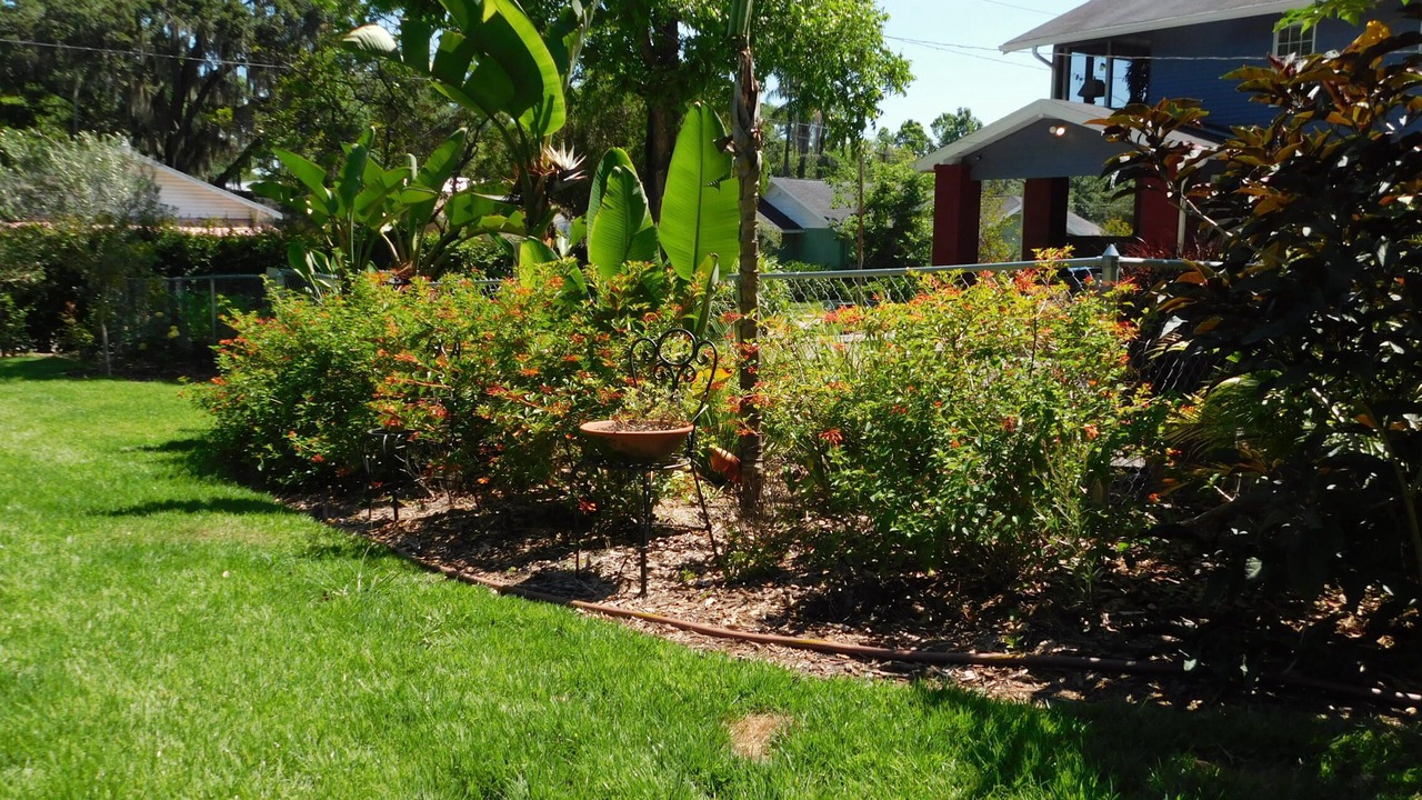 Photo of Outdoor in Old Seminole Heights