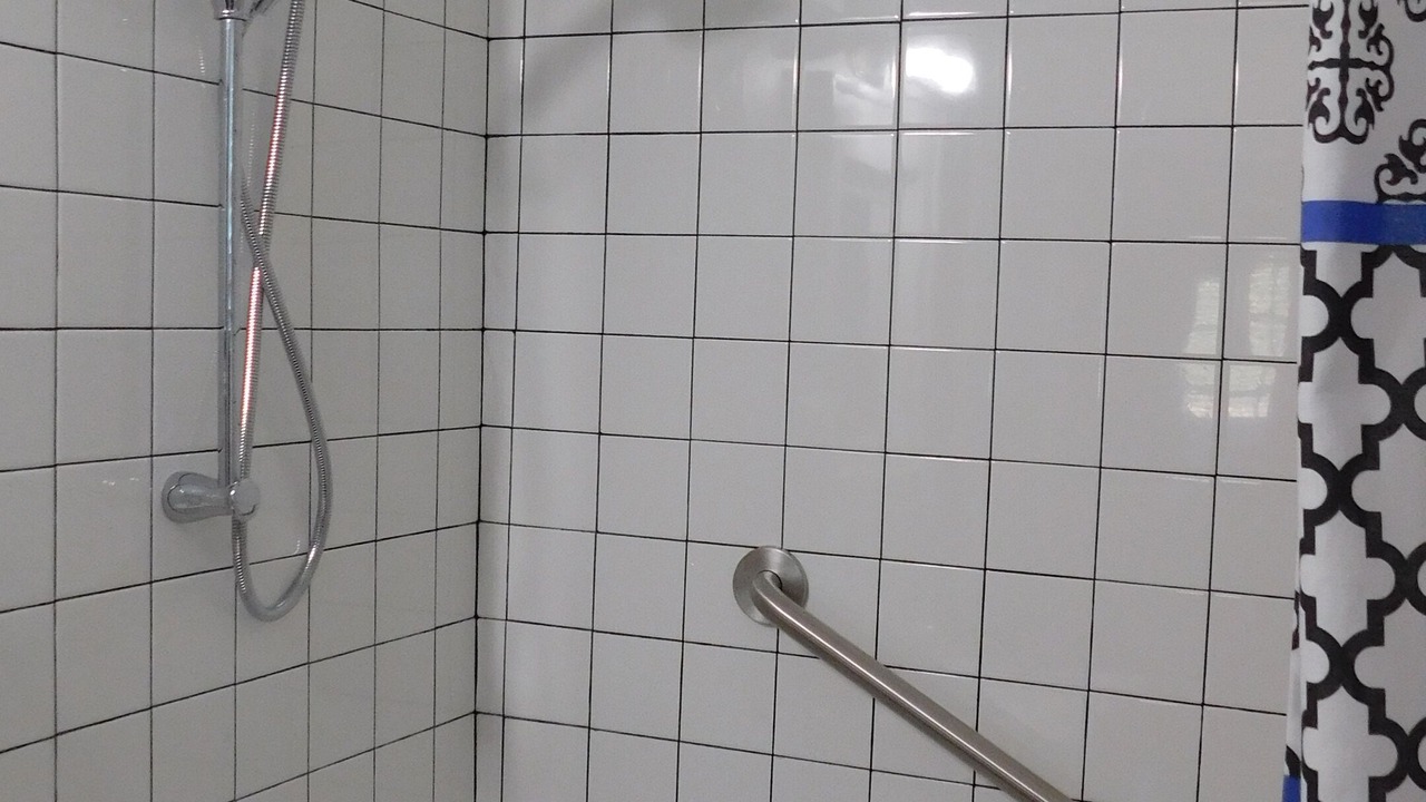 Photo of Bathroom in Old Seminole Heights