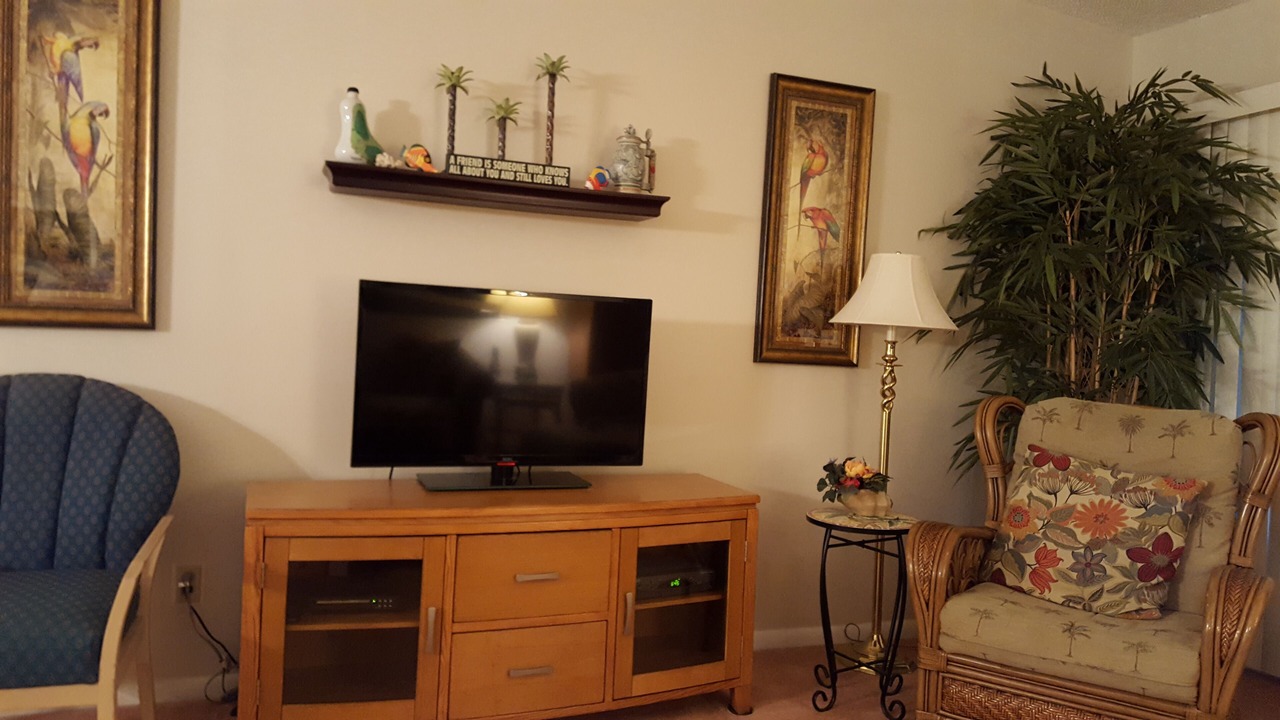 Photo of Livingroom in Palm Harbor