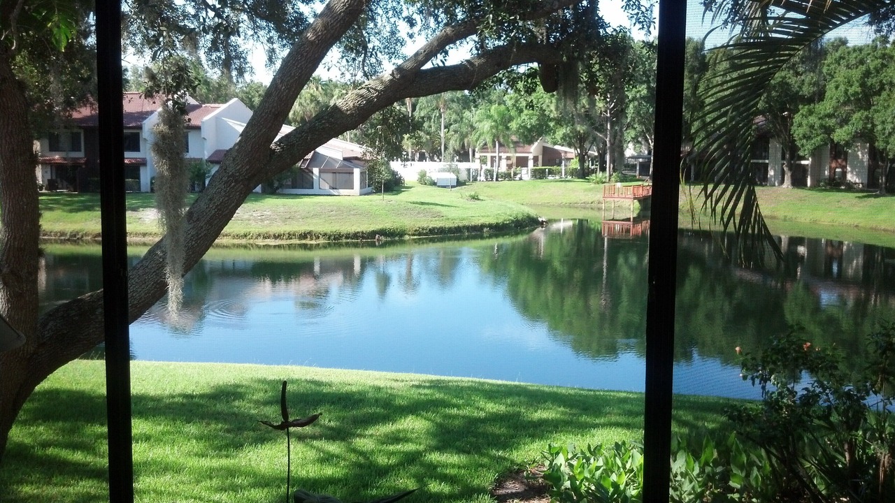 Photo of Bedroom in Palm Harbor
