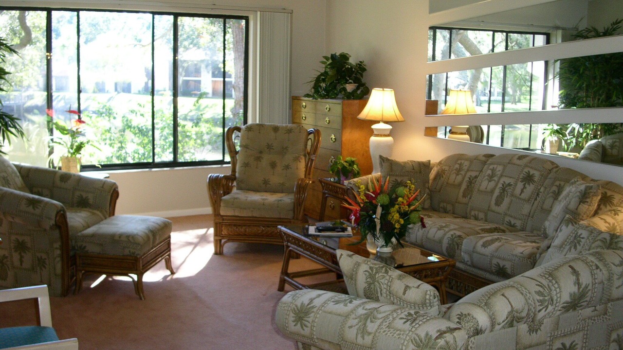 Photo of Livingroom in Palm Harbor