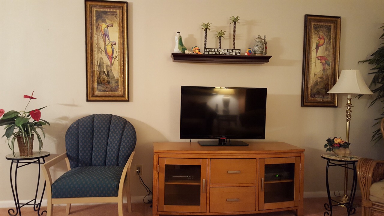 Photo of Livingroom in Palm Harbor