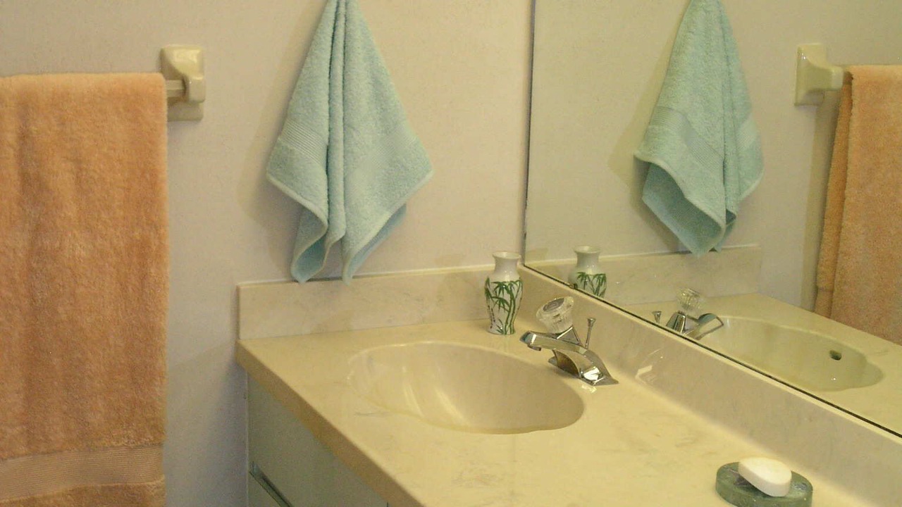 Photo of Bathroom in Palm Harbor