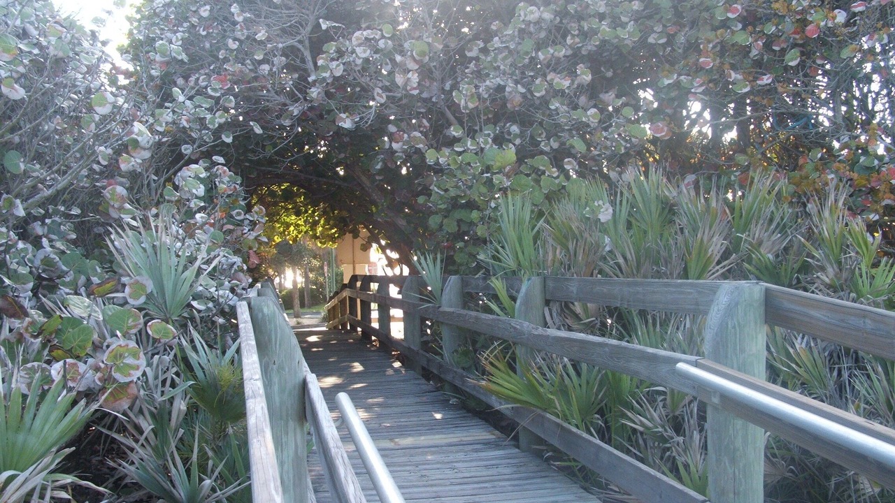 Photo of Others in Ocean Side Village