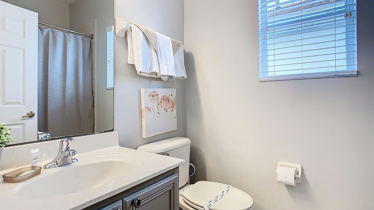 Photo of Bathroom in Reunion