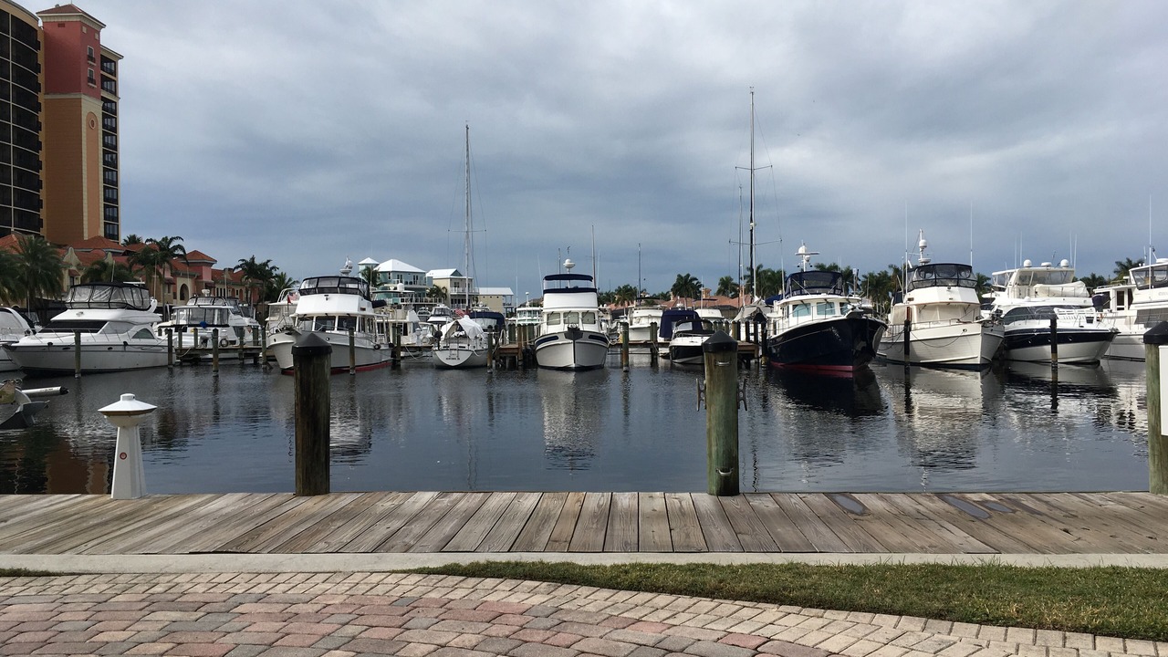 Photo of Others in Cape Harbour